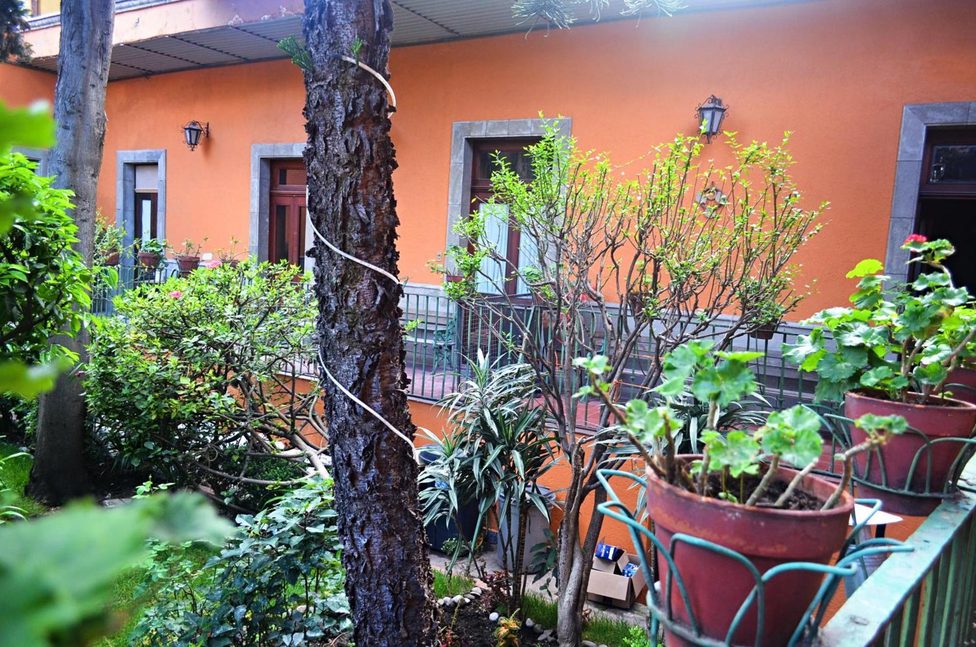 Hacienda Gobernadores Meksika Dış mekan fotoğraf