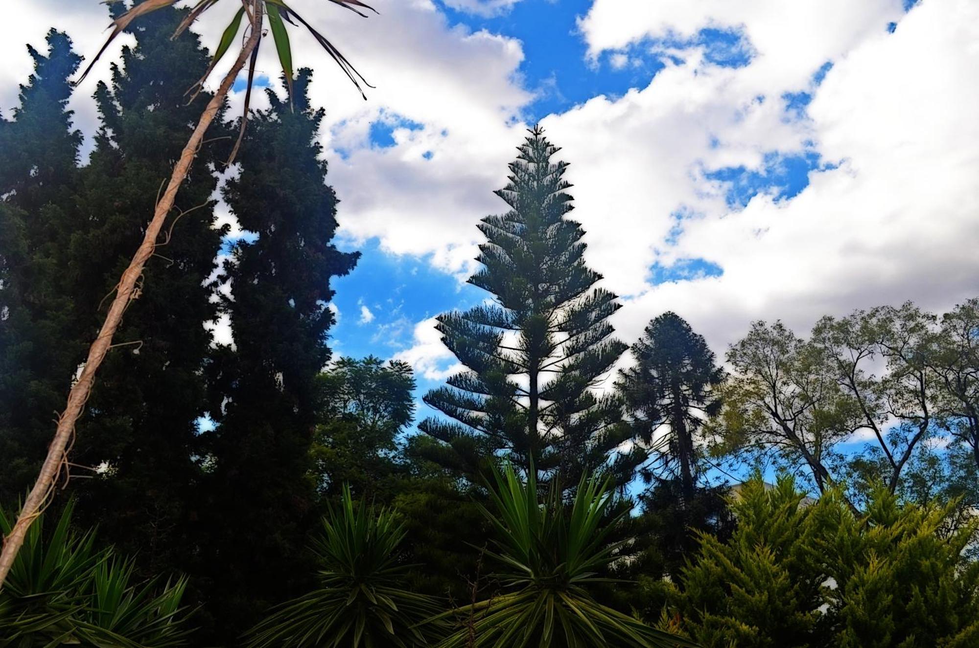 Hacienda Gobernadores Meksika Dış mekan fotoğraf