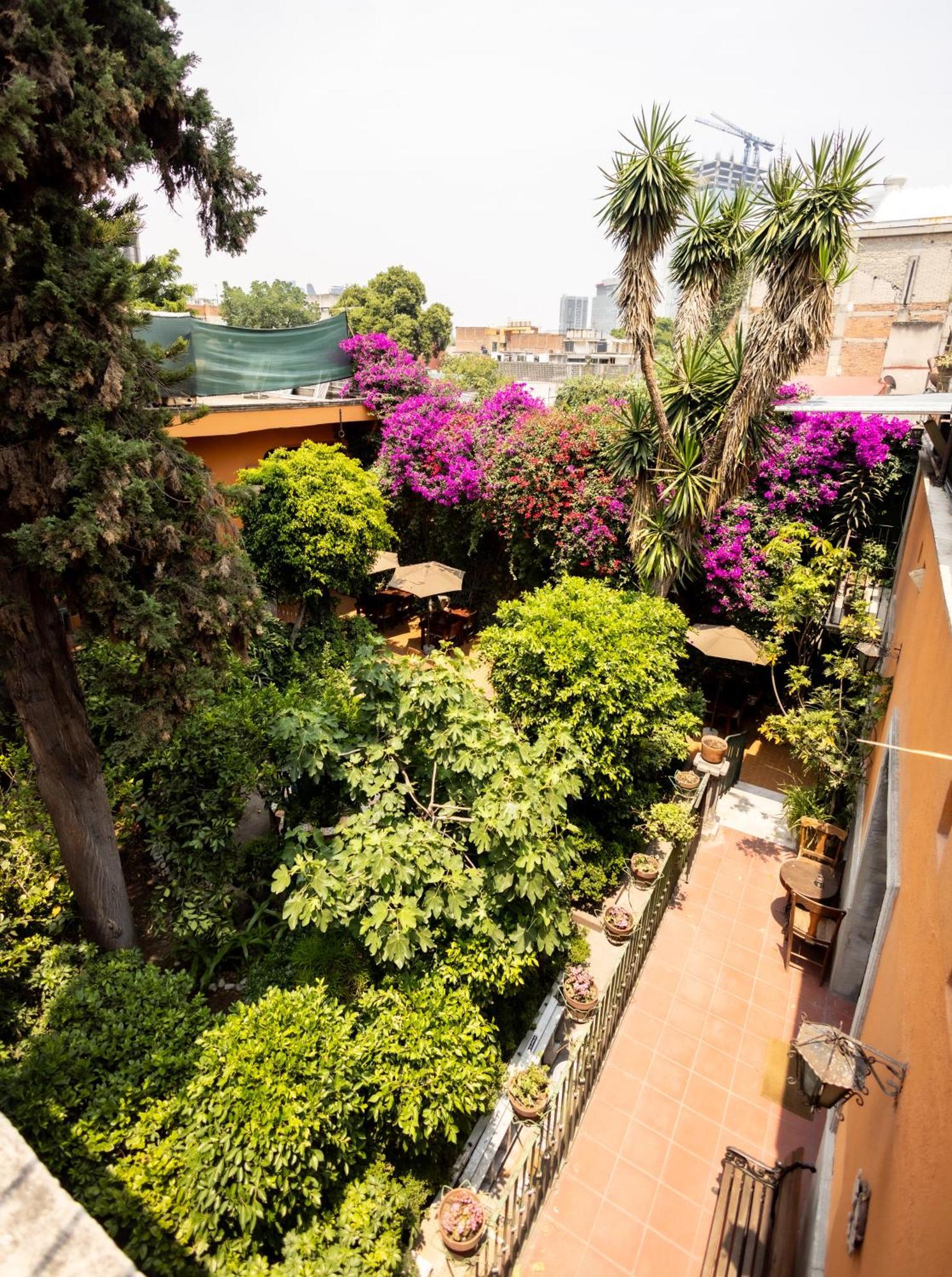 Hacienda Gobernadores Meksika Dış mekan fotoğraf