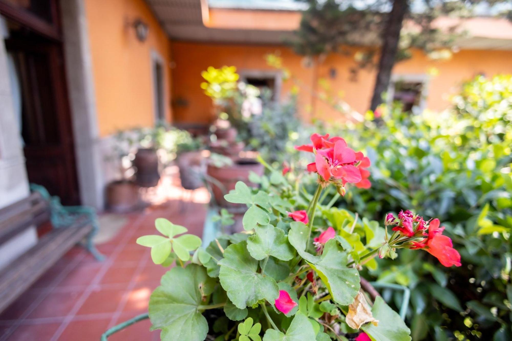 Hacienda Gobernadores Meksika Dış mekan fotoğraf